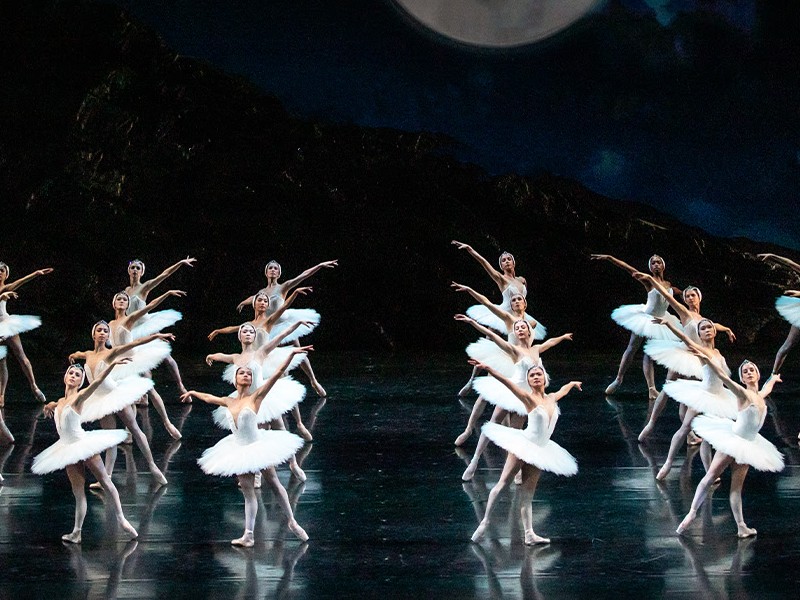 San Francisco Ballet Swan Lake Encore