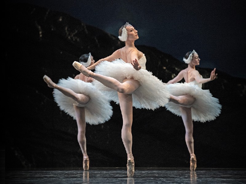 San Francisco Ballet Swan Lake