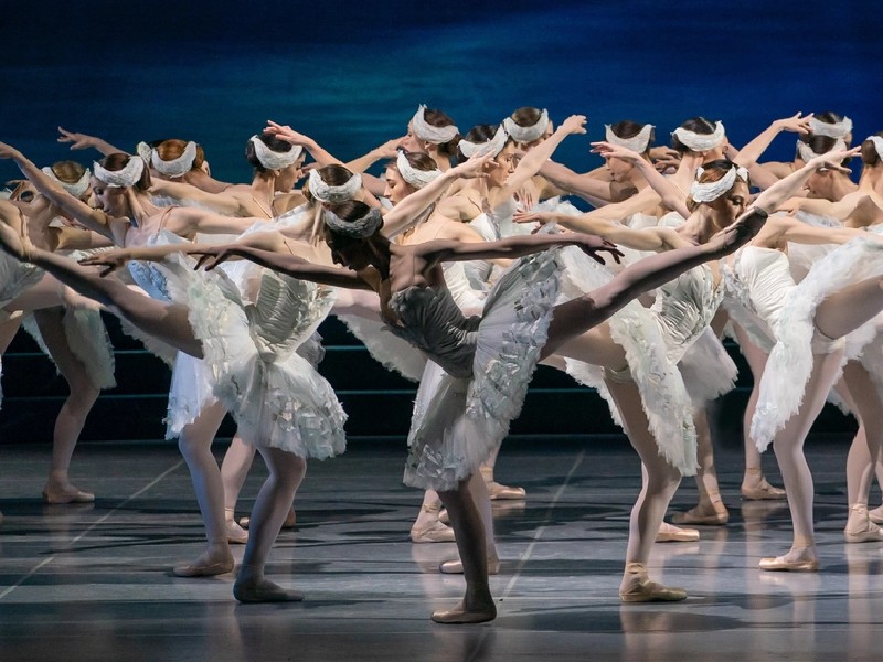 Vienna State Ballet Swan Lake 2024