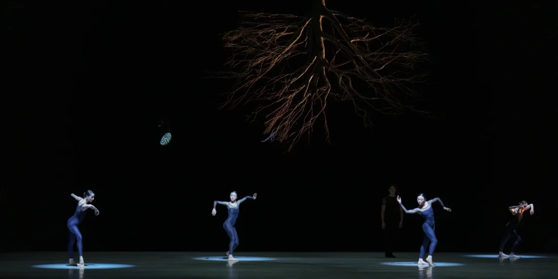 Dutch National Ballet Program B Review 2025 featuring dancers dressed in black in front of a a hanging upside down leafless tree in Jiří Kylián’s Wings of Wax.