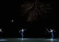 Dutch National Ballet Program B Review 2025 featuring dancers dressed in black in front of a a hanging upside down leafless tree in Jiří Kylián’s Wings of Wax.