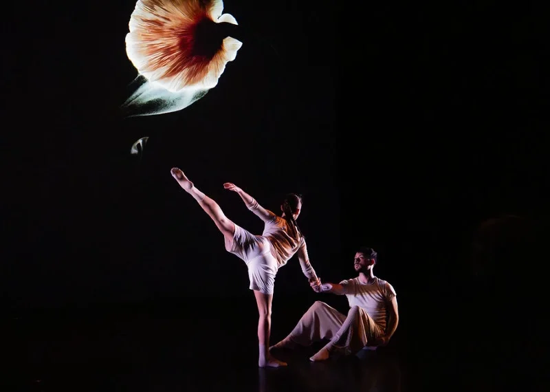 vildwerk Presents Dancing For Our Wonderful World