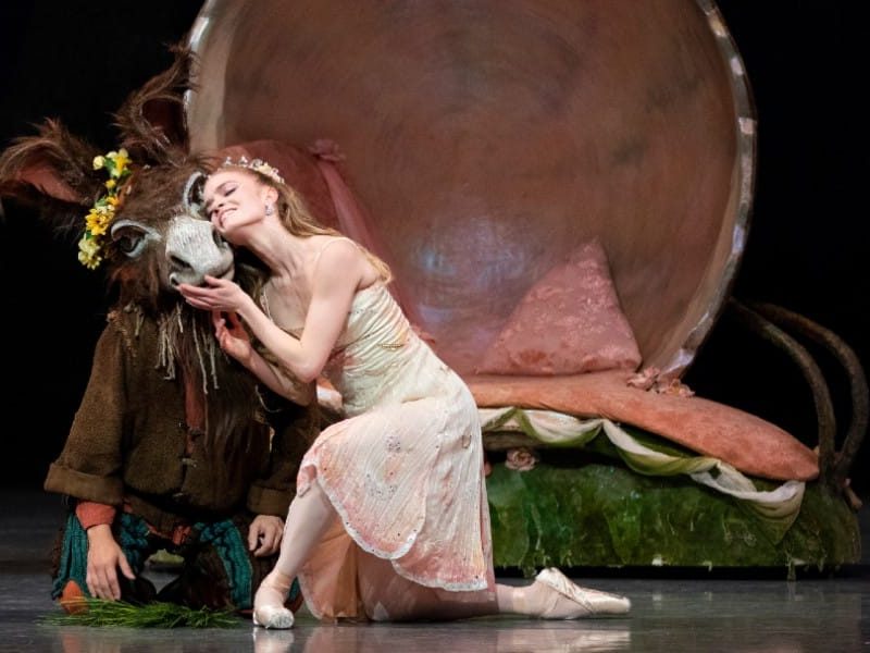 San Francisco Ballet Digital Season San Francisco Ballet Digital Season